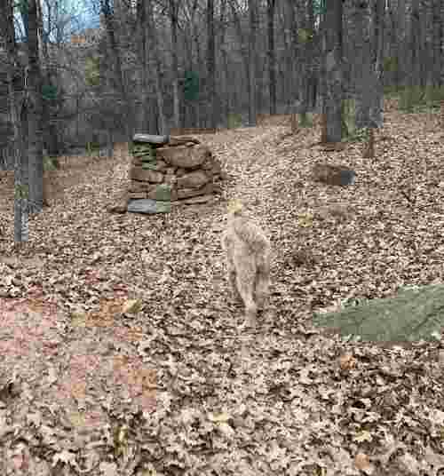 Image of Bayyari Park & Mountain Bike Trails park in Springdale, Arkansas, United States Image of Bayyari Park & Mountain Bike Trails park in springdale, arkansas, united-states