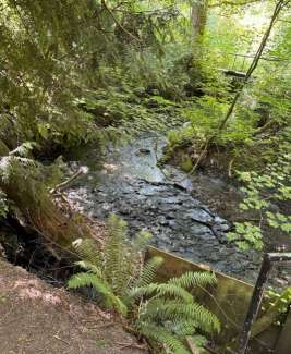Image of Yost Park park in Edmonds, Washington, United States Image of Yost Park park in edmonds, washington, united-states