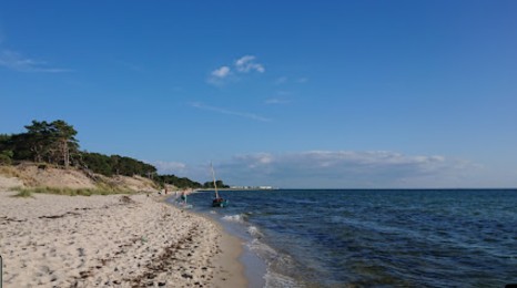 Image of Camping Kormoran park in Hel, Pomeranian Voivodeship, Poland Image of Camping Kormoran park in hel, pomeranian-voivodeship, poland