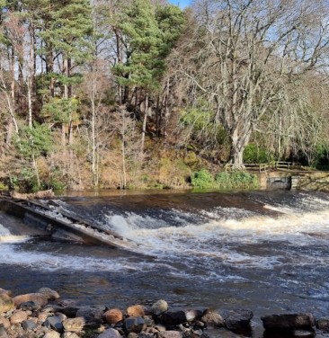 Image of Averon River Park park in Alness, Scotland, United Kingdom Image of Averon River Park park in alness, scotland, united-kingdom