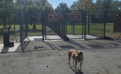 Image of Dog Park park in Kissimmee, Florida, United States Image of Dog Park park in kissimmee, florida, united-states