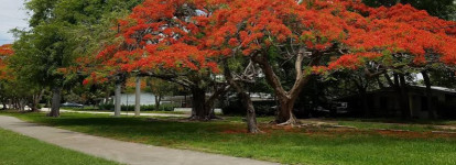 Image of Continental Park park in Kendall, Florida, United States Image of Continental Park park in kendall, florida, united-states