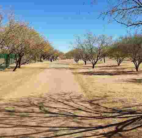 Image of Star Valley Park park in Tucson, Arizona, United States Image of Star Valley Park park in tucson, arizona, united-states