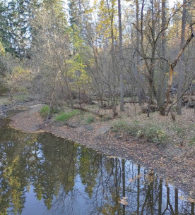 Image of Mill Creek Park park in Edmonton, Alberta, Canada Image of Mill Creek Park park in edmonton, alberta, canada