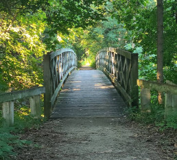 Image of Cofrin Memorial Arboretum park in Green Bay, Wisconsin, United States Image of Cofrin Memorial Arboretum park in green-bay, wisconsin, united-states
