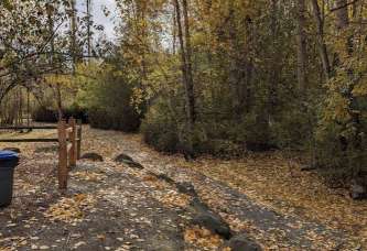 Image of Wallace Swamp Creek Park park in Kenmore, Washington, United States Image of Wallace Swamp Creek Park park in kenmore, washington, united-states