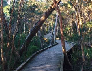 Image of Balcombe Estuary Boardwalk Circuit park in Mount Martha, Victoria, Australia Image of Balcombe Estuary Boardwalk Circuit park in mount-martha, victoria, australia