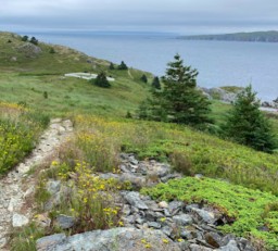 Image of Bay Roberts East Shoreline Heritage Walk park in Dildo, Newfoundland and Labrador, Canada Image of Bay Roberts East Shoreline Heritage Walk park in dildo, newfoundland-and-labrador, canada