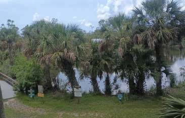 Image of Charlotte Harbor Environmental Center park in Punta Gorda, Florida, United States Image of Charlotte Harbor Environmental Center park in punta-gorda, florida, united-states
