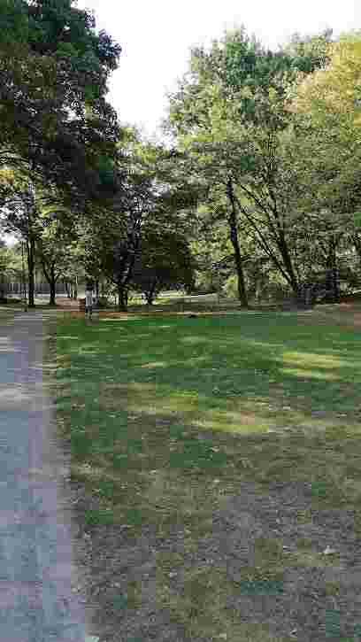 Image of Hunde Park Hassels park in Dusseldorf, Nordrhein-Westfalen, Germany Image of Hunde Park Hassels park in dusseldorf, nordrhein-westfalen, germany