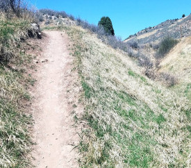 Image of Coyote Song Trail (North) park in Littleton, Colorado, United States Image of Coyote Song Trail (North) park in littleton, colorado, united-states
