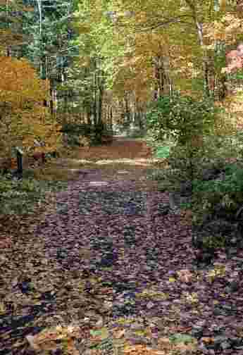 Image of Belding Wildlife Trail Head park in Vernon, California, United States Image of Belding Wildlife Trail Head park in vernon, california, united-states