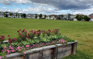 Image of Wood Buffalo Park park in Fort McMurray, Alberta, Canada Image of Wood Buffalo Park park in fort-mcmurray, alberta, canada