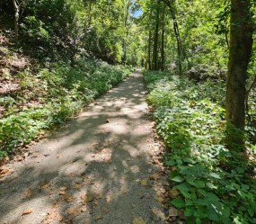 Image of Al Foster Trail at Sherman Beach Park park in Wildwood, Missouri, United States Image of Al Foster Trail at Sherman Beach Park park in wildwood, missouri, united-states