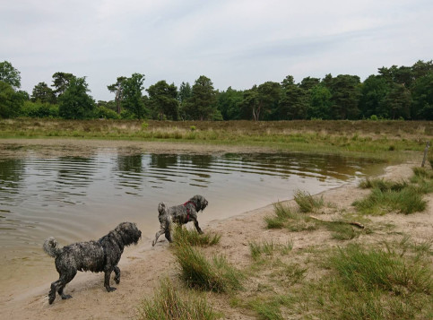 Image of Waschkolk park in Nunspeet, Gelderland, Netherlands Image of Waschkolk park in nunspeet, gelderland, netherlands