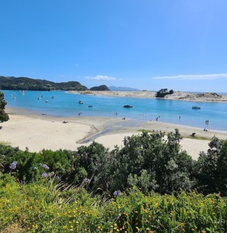 Image of Mangawhai Estuary park in Mangawhai Heads, Northland, New Zealand Image of Mangawhai Estuary park in mangawhai-heads, northland, new-zealand