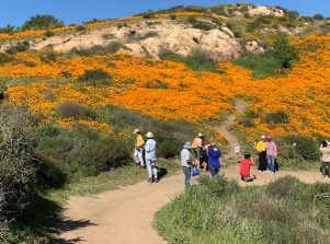 Image of Anaheim Hills Riding and Walking Trail park in Anaheim, California, United States Image of Anaheim Hills Riding and Walking Trail park in anaheim, california, united-states