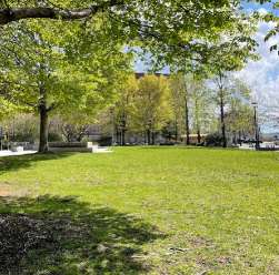 Image of Wheeler Park park in Cambridge, Maryland, United States Image of Wheeler Park park in cambridge, maryland, united-states