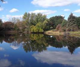 Image of Wedgewood Association Walking Trails park in Crystal Lake, Illinois, United States Image of Wedgewood Association Walking Trails park in crystal-lake, illinois, united-states