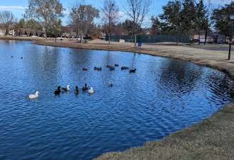 Image of Waterview Park park in Rowlett, Texas, United States Image of Waterview Park park in rowlett, texas, united-states