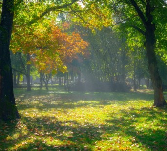 Image of Park linearny | Tor Partynice park in Wroclaw, Dolnoslaskie, Poland Image of Park linearny | Tor Partynice park in wroclaw, dolnoslaskie, poland