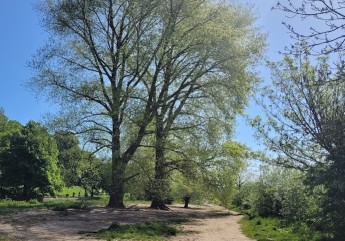 Image of Elbwanderweg Hamburg park in Hamburg, Hamburg, Germany Image of Elbwanderweg Hamburg park in hamburg, hamburg, germany