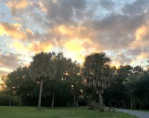 Image of Harbor Palms Nature Park park in Oldsmar, Florida, United States Image of Harbor Palms Nature Park park in oldsmar, florida, united-states