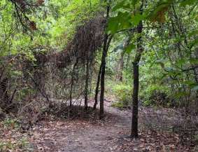 Image of Wagon Wheel Park park in Coppell, Texas, United States Image of Wagon Wheel Park park in coppell, texas, united-states