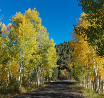 Image of Wood Ranch Park park in Cedar City, Utah, United States Image of Wood Ranch Park park in cedar-city, utah, united-states
