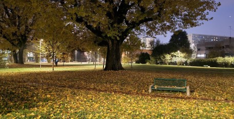 Image of parco Giorgella park in Corsico, Lombardia, Italy Image of parco Giorgella park in corsico, lombardia, italy