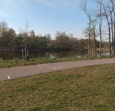 Image of White Pine Trail - Access Point park in Rockford, Illinois, United States Image of White Pine Trail - Access Point park in rockford, illinois, united-states