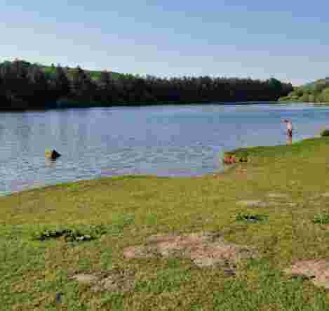 Image of Cod Beck Reservoir Car Park park in Whorlton, England, United Kingdom Image of Cod Beck Reservoir Car Park park in whorlton, england, united-kingdom