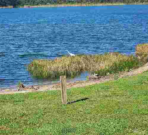 Image of Peacock park park in Port St. Lucie, Florida, United States Image of Peacock park park in port-st-lucie, florida, united-states