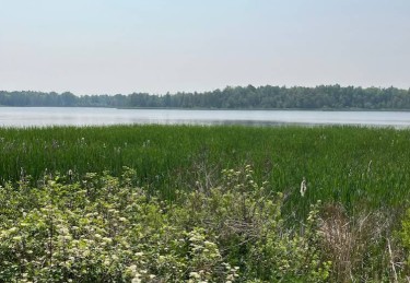 Image of Vicky Barron Parking park in orangeville, ontario, canada
