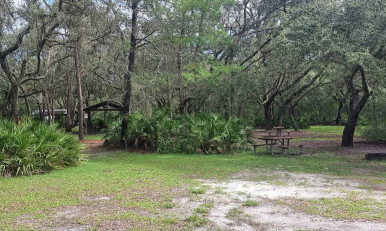 Image of Serenova Tract park in Land O' Lakes, Florida, United States Image of Serenova Tract park in land-o-lakes, florida, united-states