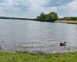 Image of Hedleys Park park in Wakefield, England, United Kingdom Image of Hedleys Park park in wakefield, england, united-kingdom