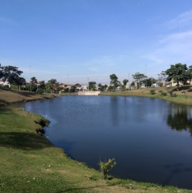 Image of Floresta Parque park in Indaiatuba, Sao Paulo, Brazil Image of Floresta Parque park in indaiatuba, sao-paulo, brazil
