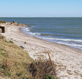 Image of Doddridge Park park in Corpus Christi, Texas, United States Image of Doddridge Park park in corpus-christi, texas, united-states