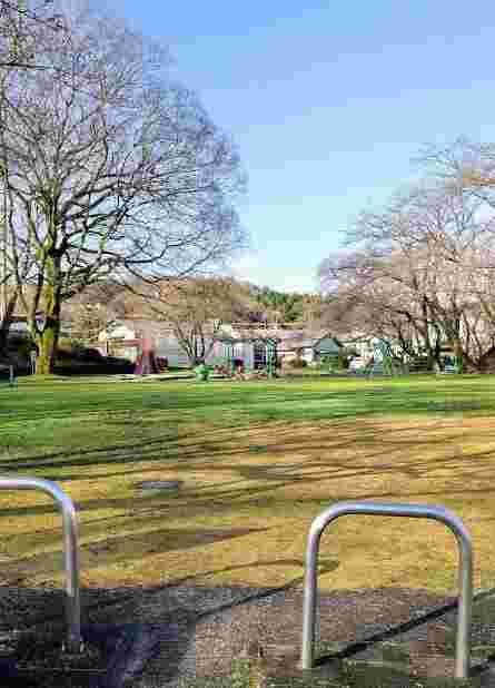 版画 Dog park Dog Park - modern cross stitch pattern PDF — Satsuma Street