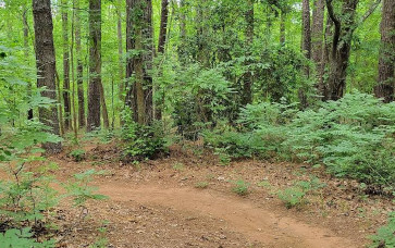 Image of Sherman Branch Nature Preserve park in Charlotte, Michigan, United States Image of Sherman Branch Nature Preserve park in charlotte, michigan, united-states
