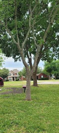 Image of Twin Star Park park in Rowlett, Texas, United States Image of Twin Star Park park in rowlett, texas, united-states
