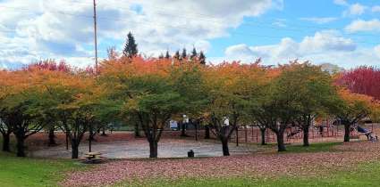 Image of Wapato Hills Park park in Tacoma, Washington, United States Image of Wapato Hills Park park in tacoma, washington, united-states