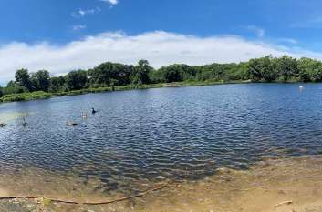 Image of Wright's Pond Park park in Medford, Massachusetts, United States Image of Wright's Pond Park park in medford, massachusetts, united-states
