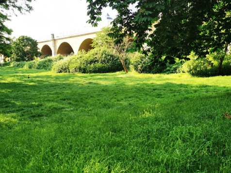 Image of Hundewiese Gohlis park in Leipzig, Sachsen, Germany Image of Hundewiese Gohlis park in leipzig, sachsen, germany