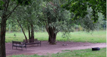 Image of Hundepark Datzeberg park in Neubrandenburg, Mecklenburg-Vorpommern, Germany Image of Hundepark Datzeberg park in neubrandenburg, mecklenburg-vorpommern, germany