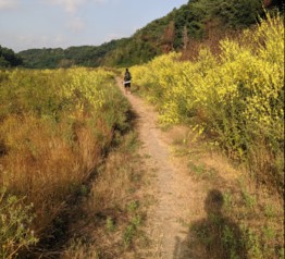 Image of Riserva Naturale dell'Insugherata park in Rome, Lazio, Italy Image of Riserva Naturale dell'Insugherata park in rome, lazio, italy