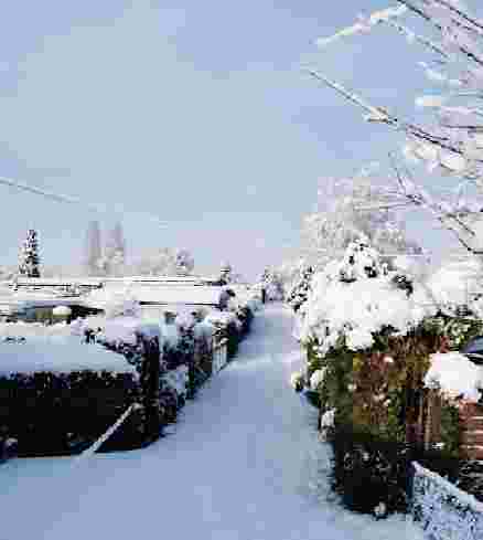 Image of Campingplatz park in Altrip, Rhineland-Palatinate, Germany Image of Campingplatz park in altrip, rhineland-palatinate, germany