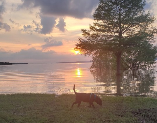 Image of Water Valley Landing park in water-valley, mississippi, united-states