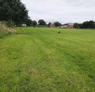 Image of Ryecroft Meadow Dog Walking Field park in Rhosrobin, Wales, United Kingdom Image of Ryecroft Meadow Dog Walking Field park in rhosrobin, wales, united-kingdom
