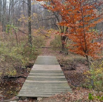 Image of Pine Hill Park - Crall Woods park in Greenwich, Connecticut, United States Image of Pine Hill Park - Crall Woods park in greenwich, connecticut, united-states